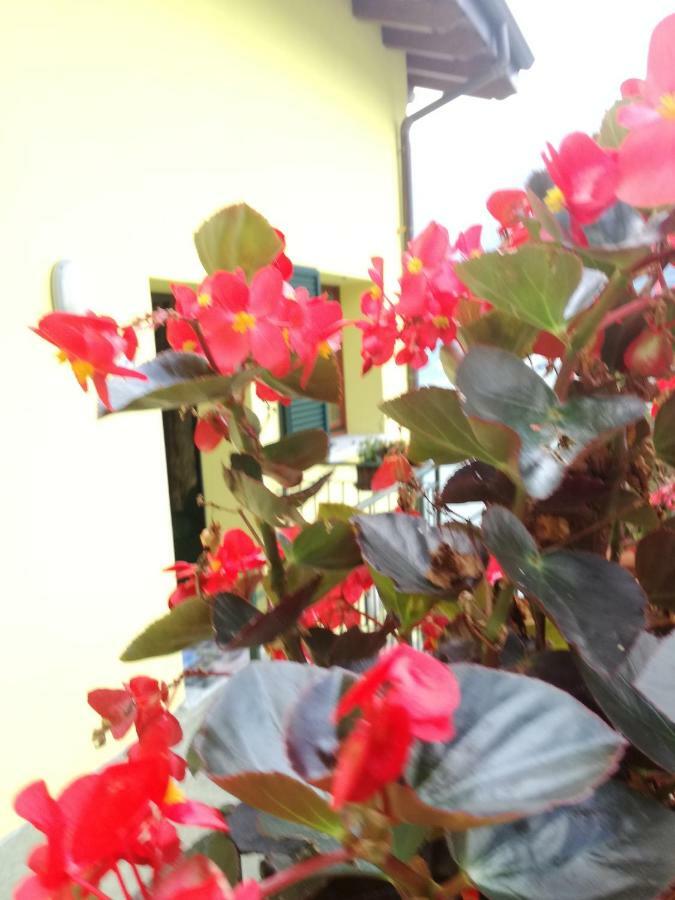 네소 Balcone Dei Limoni 아파트 외부 사진