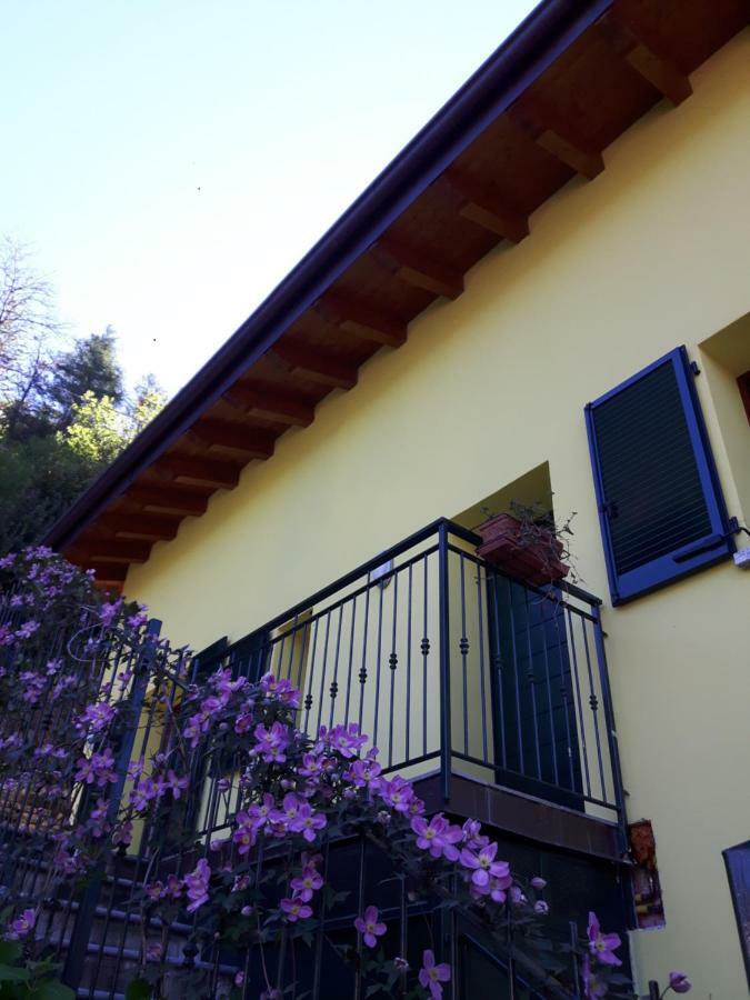 네소 Balcone Dei Limoni 아파트 외부 사진